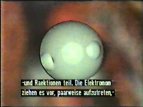 Einwirkungen von Schwermetallen auf lebende Organismen Teil 1 von 2