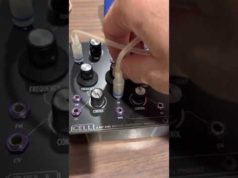 Rat King Modular Cell random sequencer tweak
