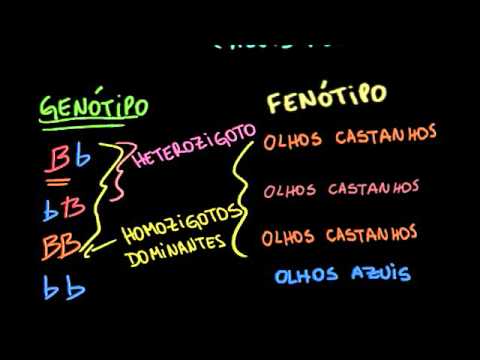 Introdução à hereditariedade