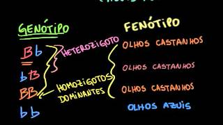 Introdução à hereditariedade