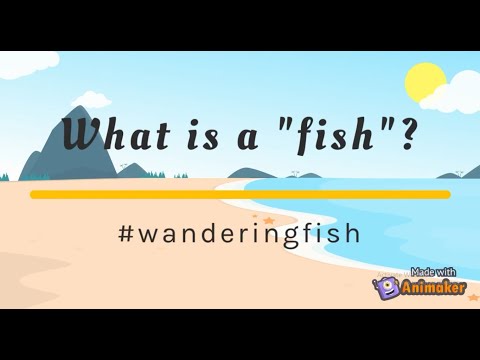 What is a fish? [Fishy Matters - Episode 1]
