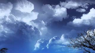 9E Phalanx - Silhouette