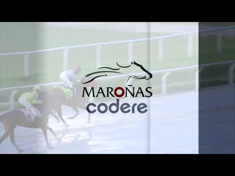 211128 c10 SOCIAL FLYER (BRZ)