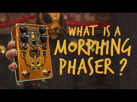 Beetronics Larva Morphing Phaser image 7