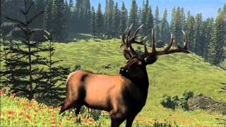 Cabela's North American Adventures Trailer