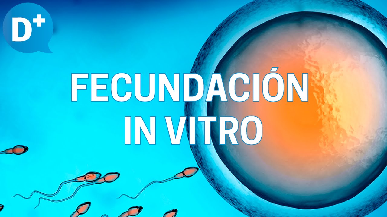 Watch Fecundación in vitro: Etapas y resultados Now Fecundación in vitro: Etapas y resultados