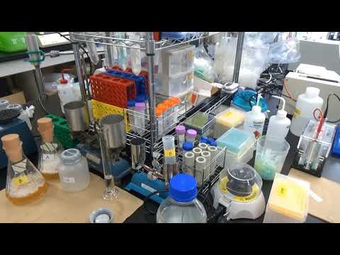 学校教育課程 科学へのとびら（農学部堀谷）第3部