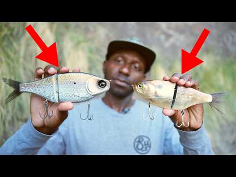 I Tested The Most Popular Glide Baits On The Market!