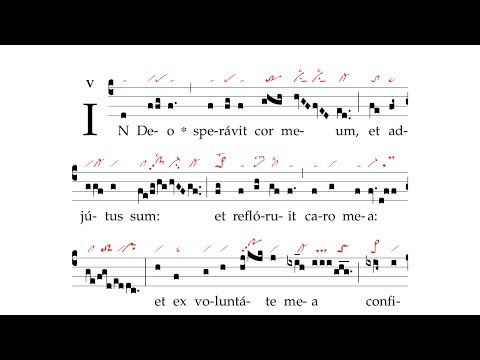 Graduale: In Deo speravit