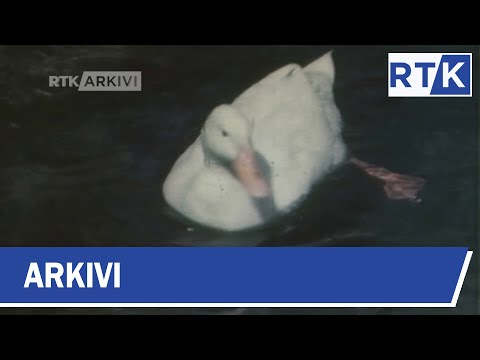 ARKIVI - PRESPA 1979 - MUHARREM QENA 18.03.2019