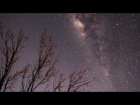 Shami feat  Camila Elens - Любовь (хиты 2021)