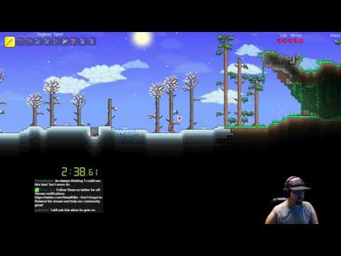 Queen Bee Speedrun 8:28