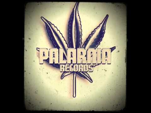 PALARNIA ZGP - KILLER (feat. DJ Bonum)