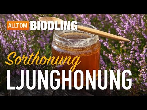 Ljunghonung - Sorthonung - Honung