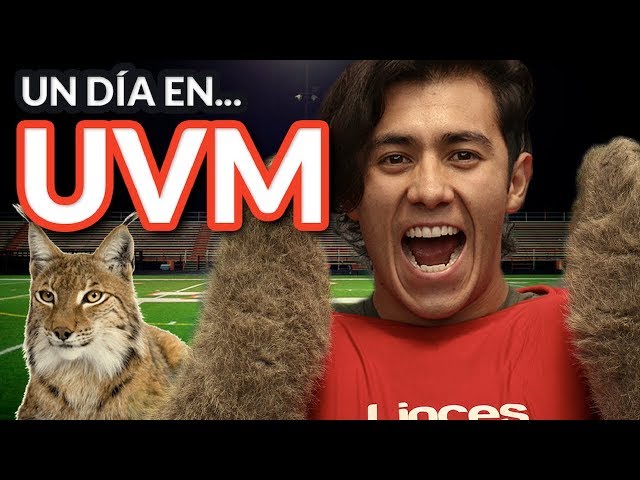 Universidad del Valle de México vidéo #1