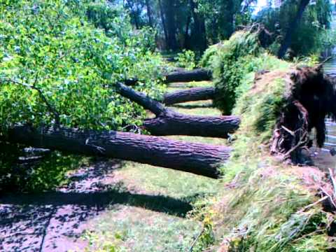 ПОСЛЕ БУРИ Г. АЛЕКСАНДРИЯ ПРИЮТОВКА