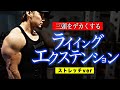 三頭を効率よく肥大させるライイングエクステンション【ストレッチバージョン】を解説!