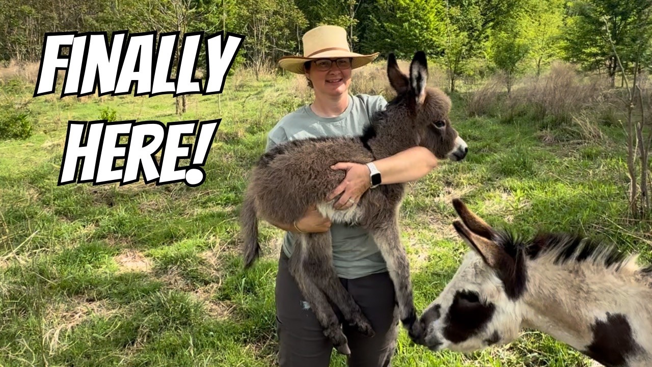 We Didn't Expect To Find This In The Briars