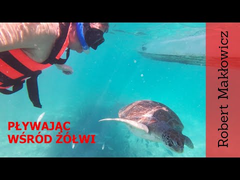 ROBERT MAKŁOWICZ MEXICO episode 114 "Swimming among turtles".