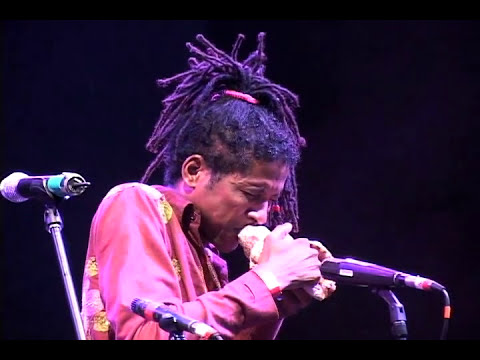 William Cepeda - Shells Prospect Park