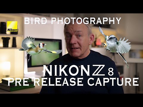 Nikon Z8 Pre Release Capture for Bird Photography
