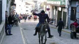 preview picture of video 'Valverde del Fresno San Blas 2013-parte4'