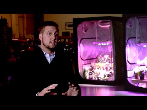 Look inside the Summit Grow Lab Garden System