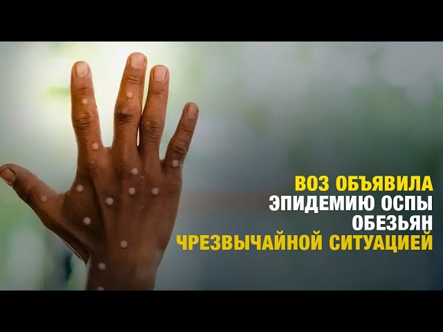 Главные новости 16.08.2024 г.