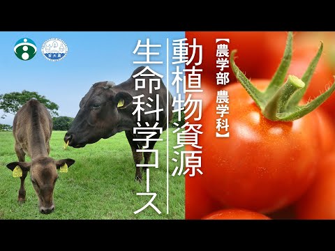 新しく誕生した宮崎大学農学部農学科「動植物資源生命科学コース」
