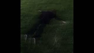 Download lagu Lil Peep x Lil Tracy - white tee (sped up & reverb) mp3