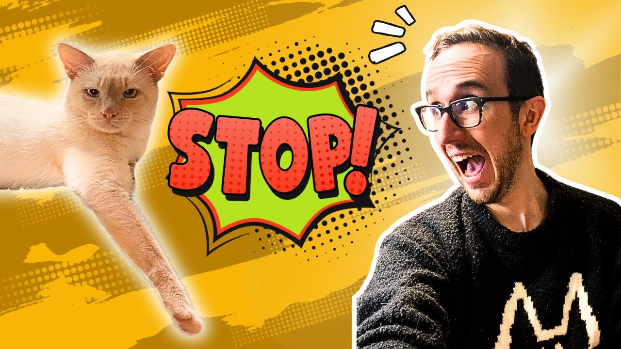 How To Fix Cat Behavior Problems (And How NOT To)