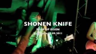Shonen Knife: Bear Up Bison