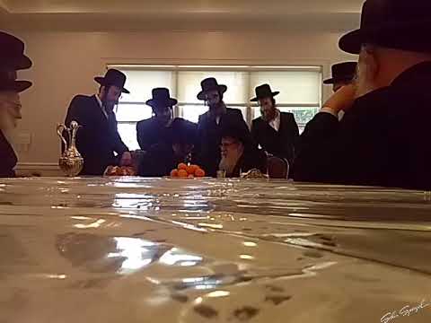 Skulen Lakewood Rebbe Visits Sanz Klausenburg Rebbe in Tom's River - Tammuz 5783