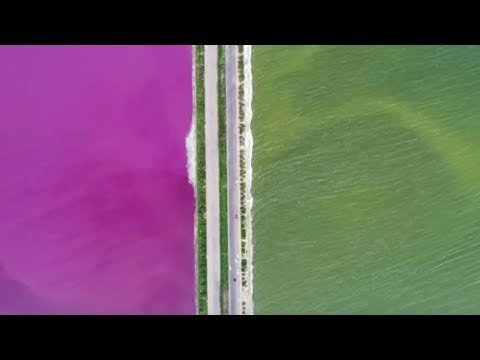 China's green and pink colored lake wows world’s netizens