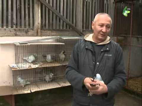 ТВ Маґазин по руски 15.02.2015. - TV Magazin po ruski 15.02.2015.