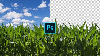 (포토샵 강좌 #28) 채널을 이용해 배경 분리하고 하늘 합성하는 아주 쉬운 방법