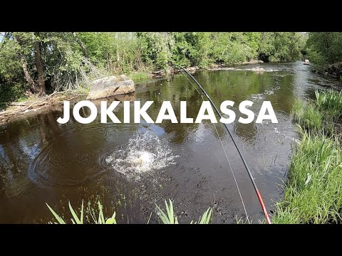 Rentoa jokikalastusta