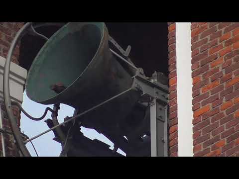 Le campane di Limbiate - Distesa completa