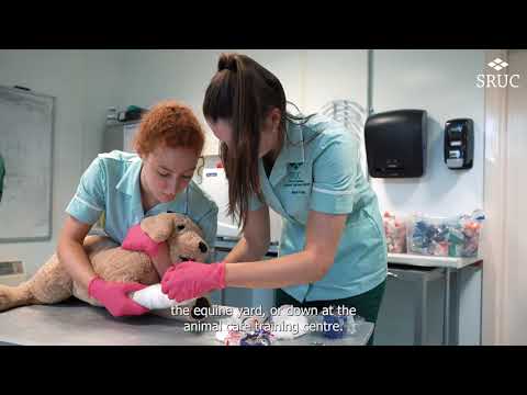 SRUC Veterinary Nursing - Student Story Andy Paterson