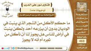 صورة ما حكم الأكل من الشجر الذي ينبت في الوديان؟الشيخ عبدالله الغديان