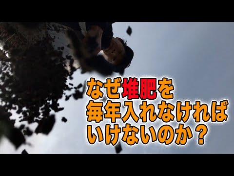 堆肥が良いかどうかはどうやってわかりますか？品質を保証する5つの分析方法  庭園