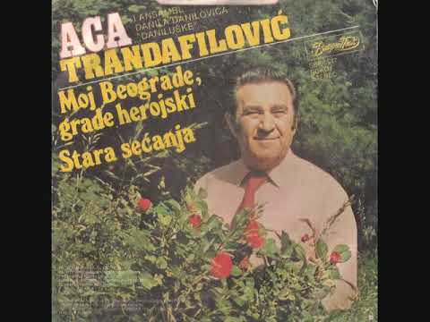 Aleksandar Trandafilovic - Moj Beograde
