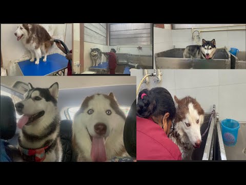 Vawiin chu grooming tur inn kan kal||a lum hle mai😰😰||Mizo nu delhi vlog