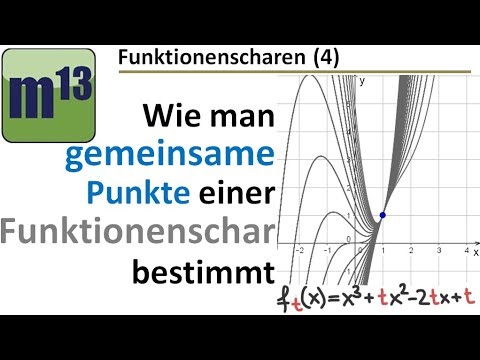 (4)  gemeinsame Punkte einer Funktionenschar bestimmen