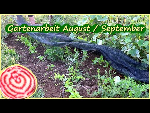Gartenarbeit August / September Hühner Kaninchen Selbstversorgung