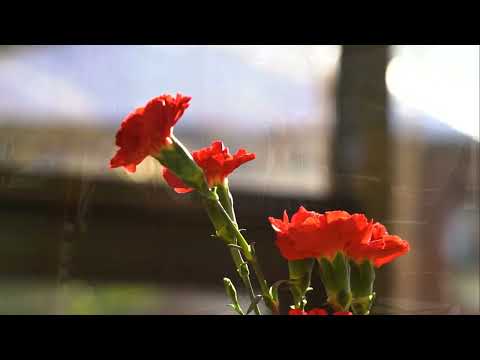 Hotel | Nowa Ski*** | Śnieżka | Restauracja | Karpacz