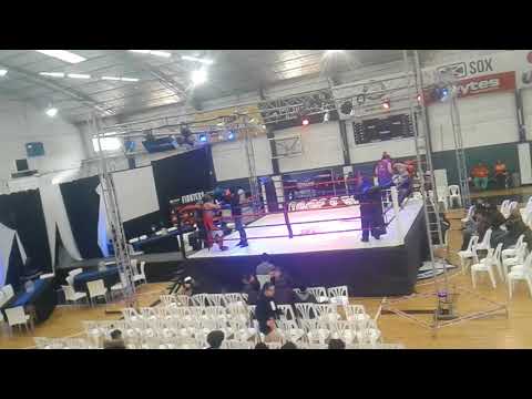 Pelea d martin ..dottavio