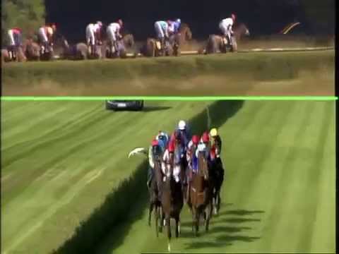 Diana-Trial (Gruppe II) 08.06.2014 - Rennbahn Hoppegarten