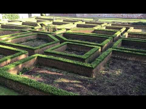Box Hedge renovation-Hedge cutting. (time-lapse)