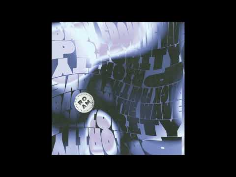 INCOMING :  Back From The Wave - Brothers (Endrik Schroeder Strong Tie Remix) #RoamRecordings